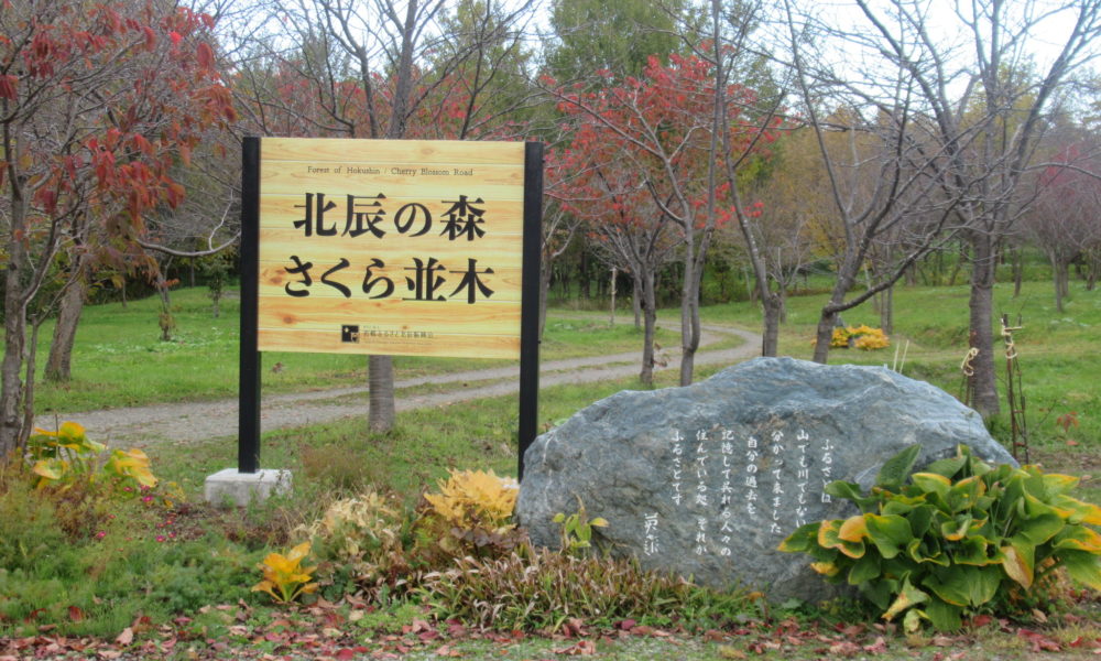 さくら並木の看板を新しく